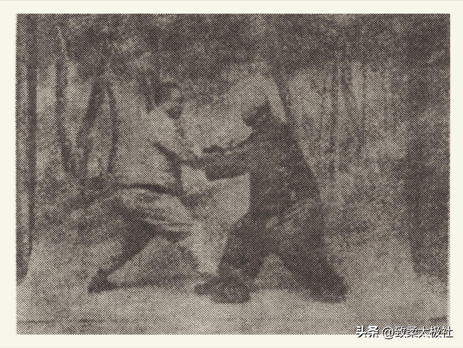 杨澄甫正宗杨氏太极拳九十一式,杨澄甫太极拳十要教学视频