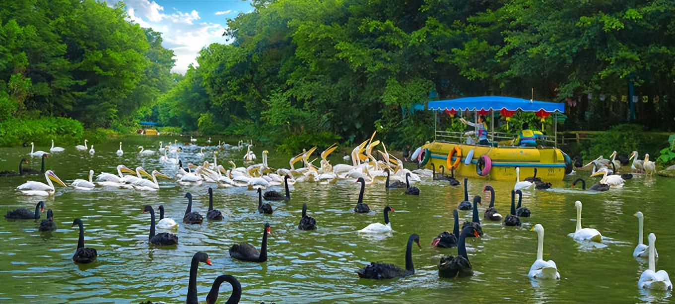 说走就走的旅行广州长隆欢乐世界,广州长隆适合8-10岁的主题乐园