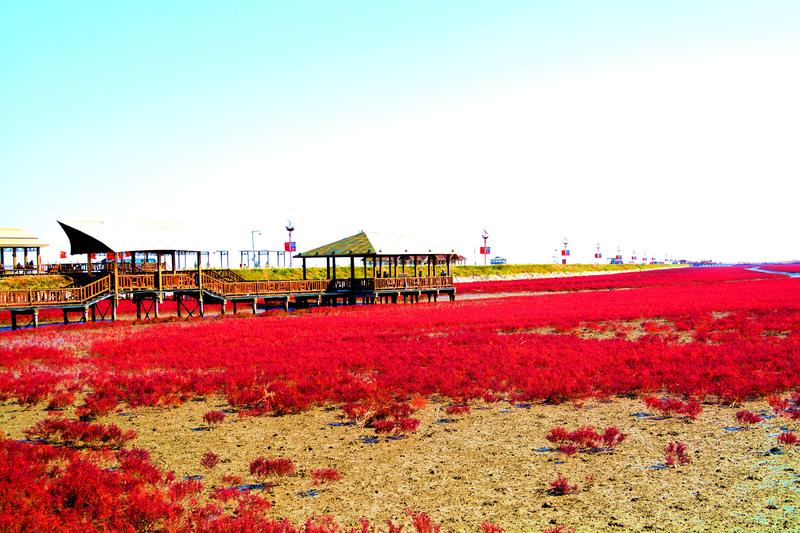 辽宁盘锦在哪个地方,去盘锦旅游哪里好