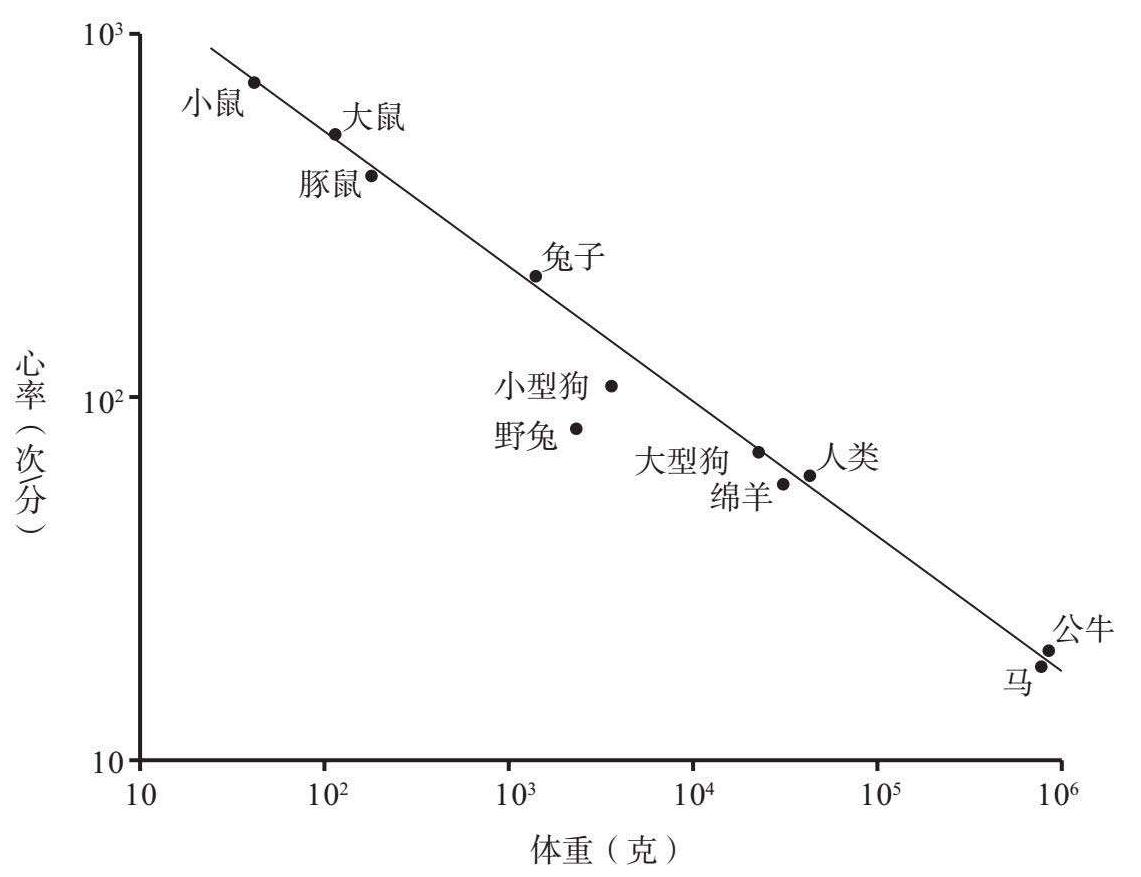 标度率本质,自然界基本守恒定律