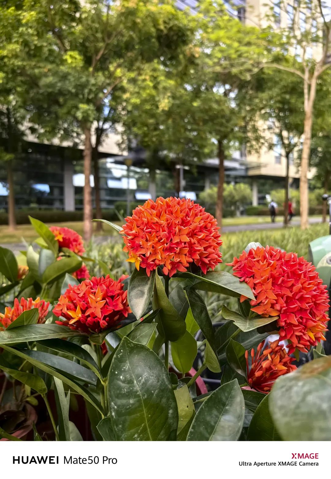 华为mate50pro深度体验感受,华为mate50pro评测超详细版