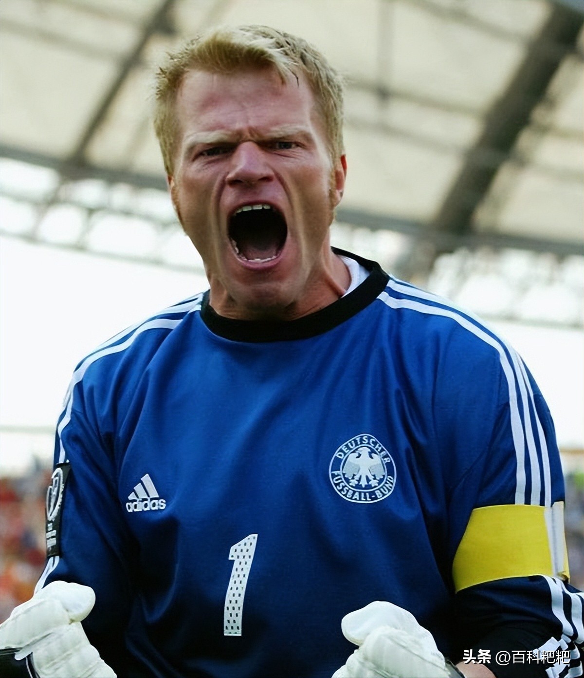 世界杯伪球迷观赛指南,世界杯伪足球球迷攻略有哪些