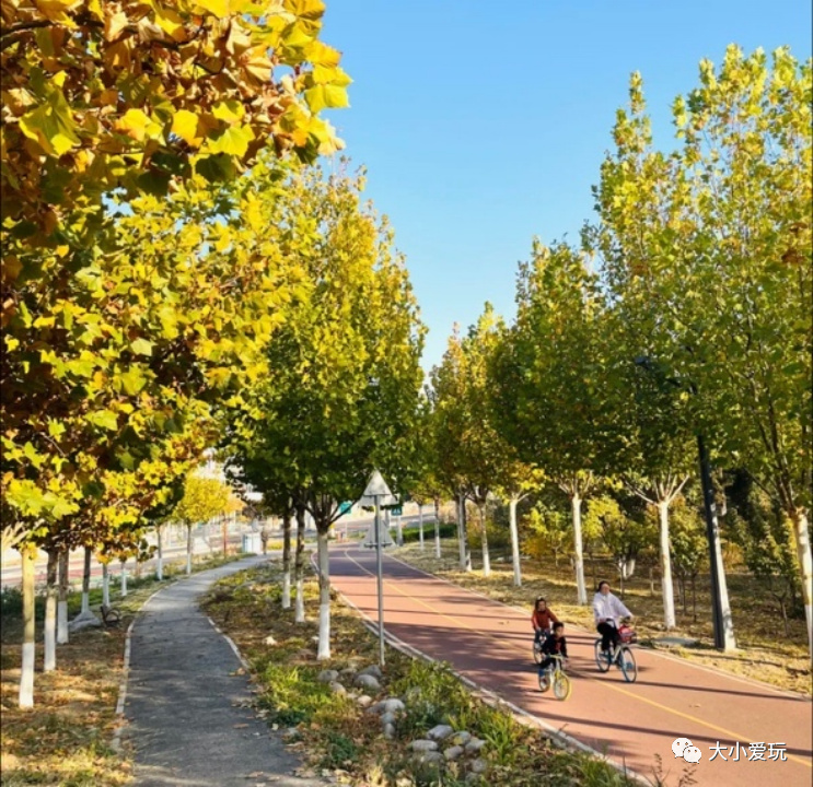 最适合遛娃的十大公园,西安超适合遛娃的10大公园