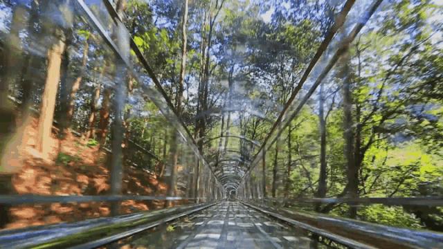 元宵节昆明哪里有灯展,昆明世博园元宵节灯会