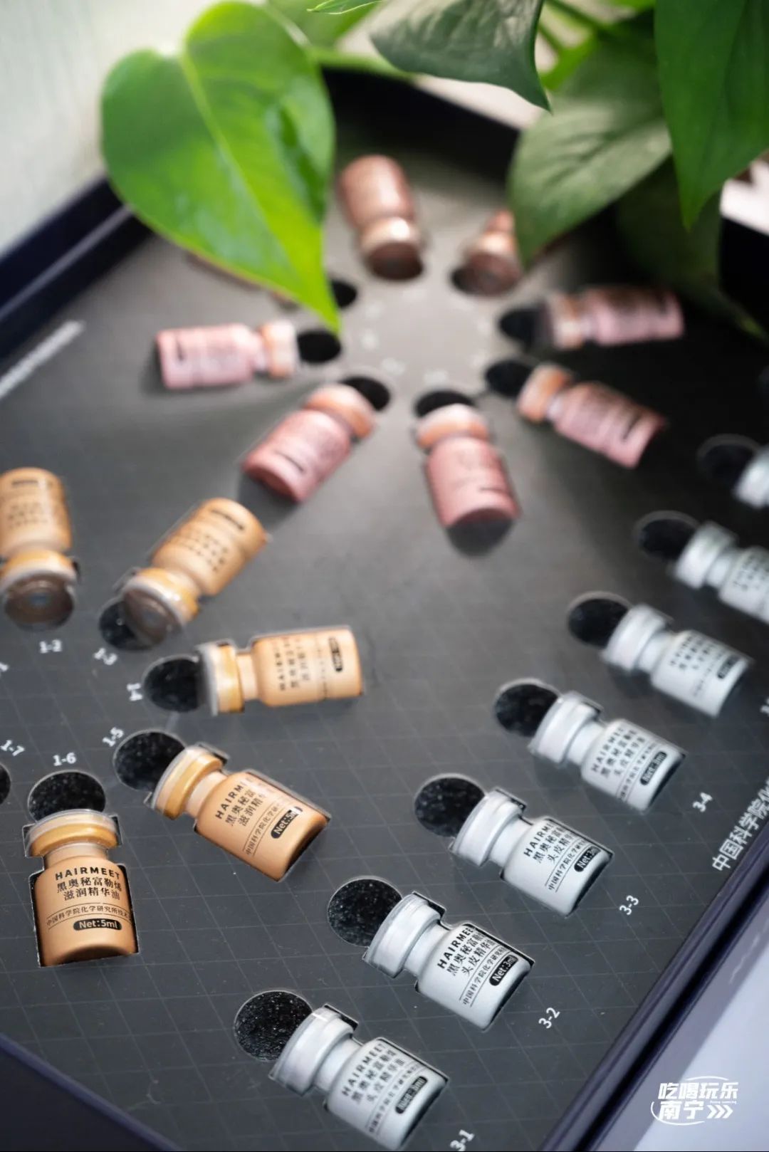 大数据请把这篇文章推给头发焦虑的南宁人