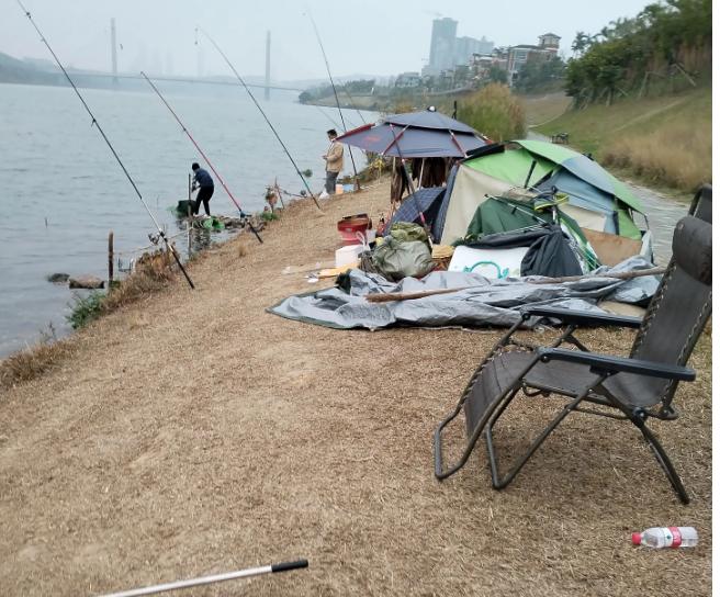 南宁邕江边现职业钓鱼人,一天卖鱼五六百,既能玩又能赚钱你羡慕么