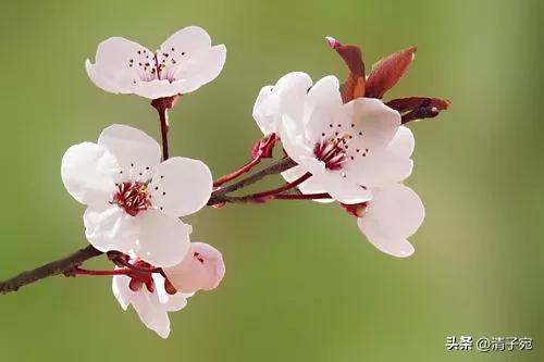 刚毕业大学生是租房还是首付买房,刚刚毕业的大学生该怎么创业