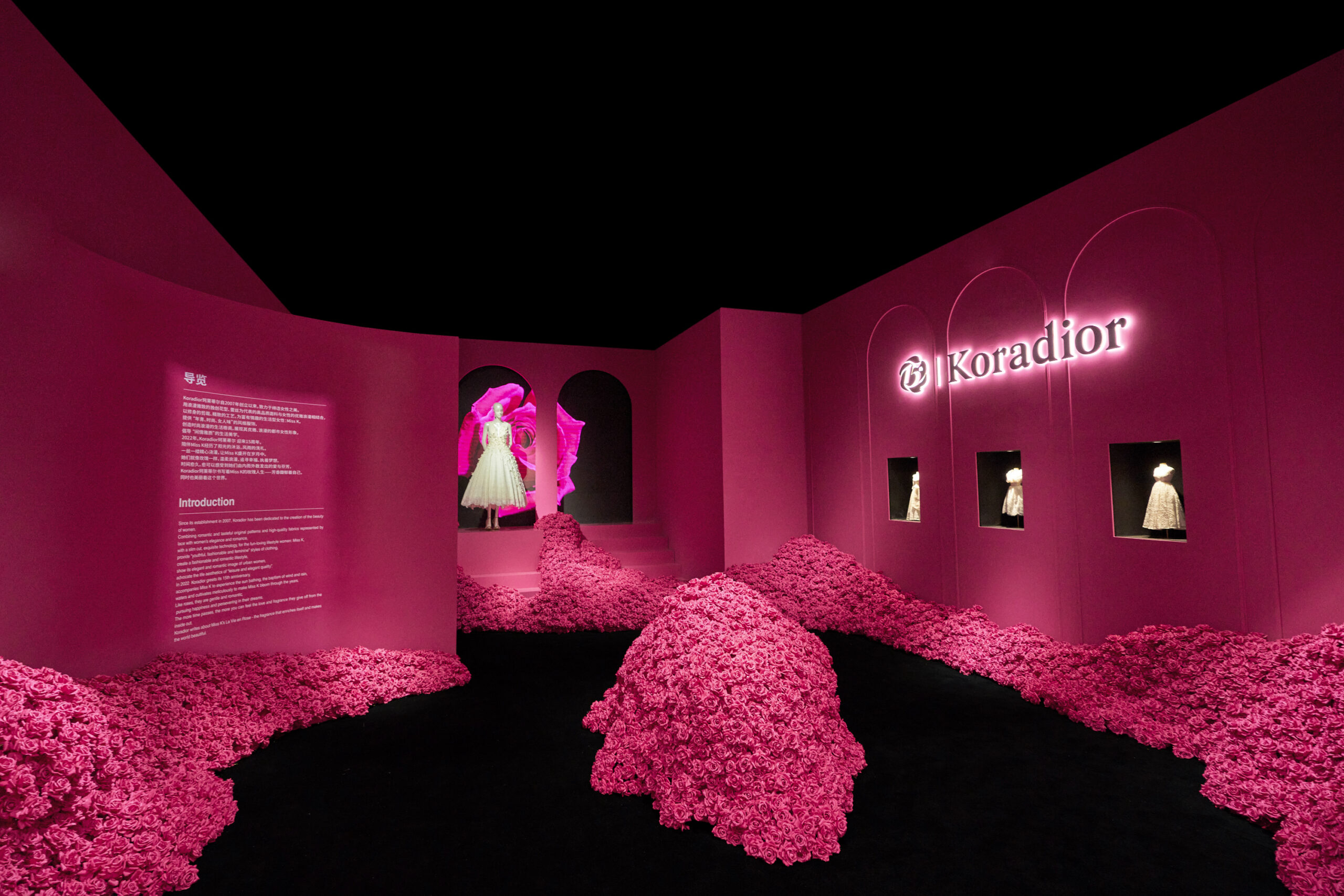 Koradior女装,采访年营收亿女装博主