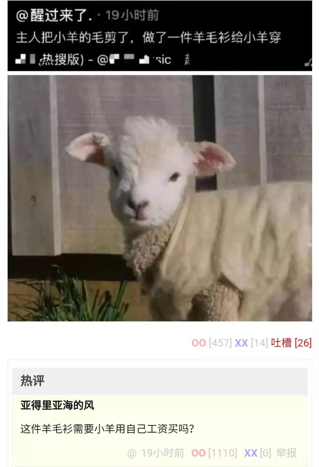 租西装要预定吗,租西装做什么