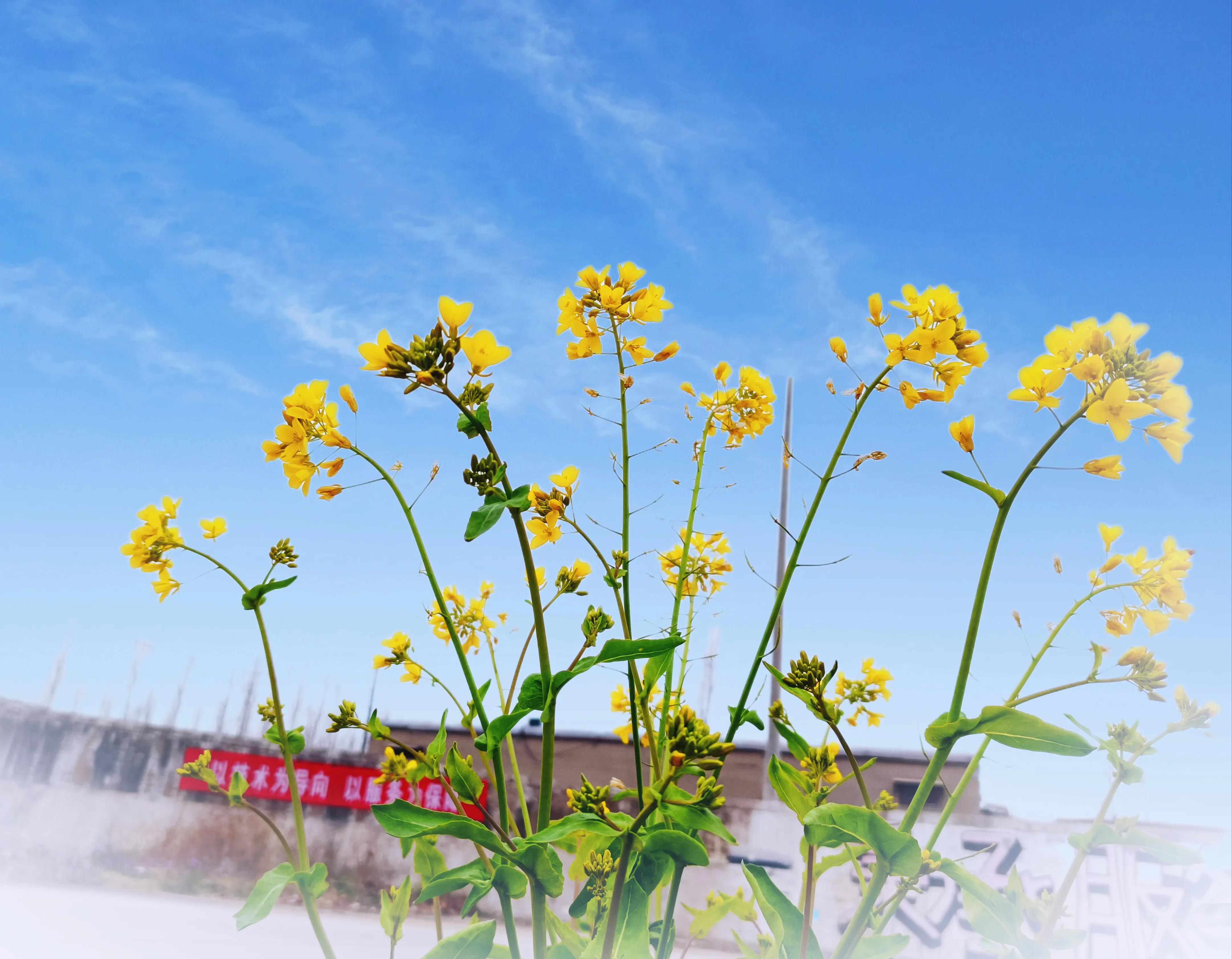 科二考试模拟三圈用多长时间,科二模拟练三天