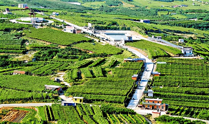 山东省青岛市哪个县最穷,青岛最穷的三个区排名