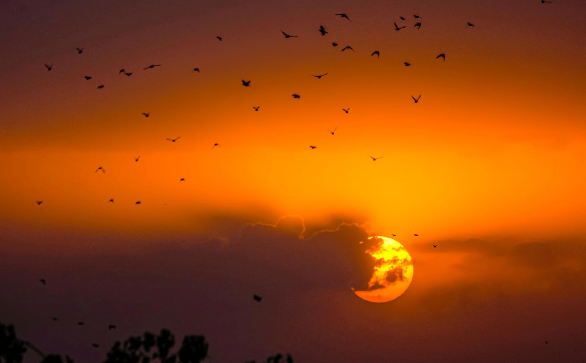 来自塔里木《塔河文苑》的诗歌四首、散文两篇