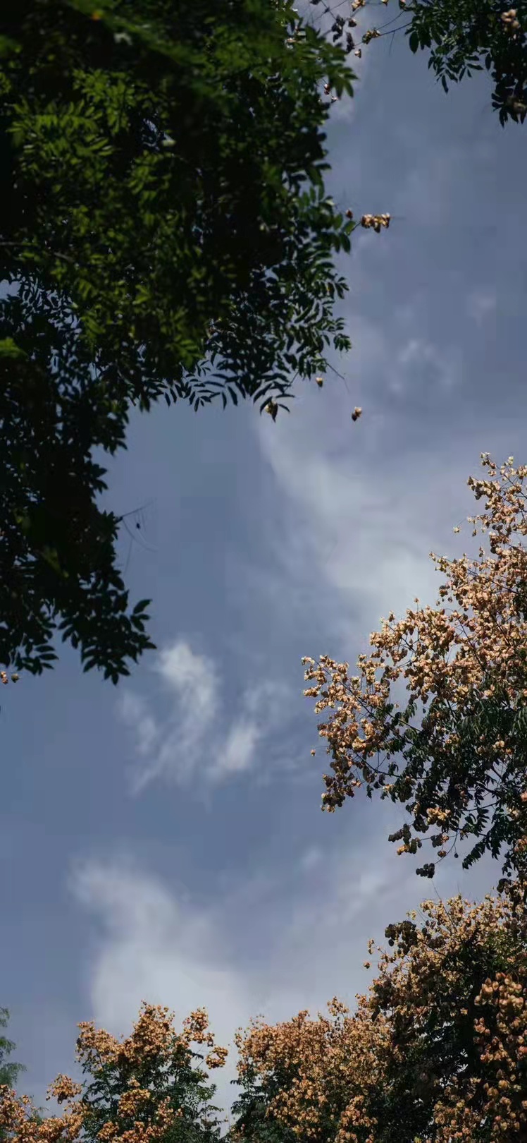 关于真正的三观的句子,三观不超正的句子