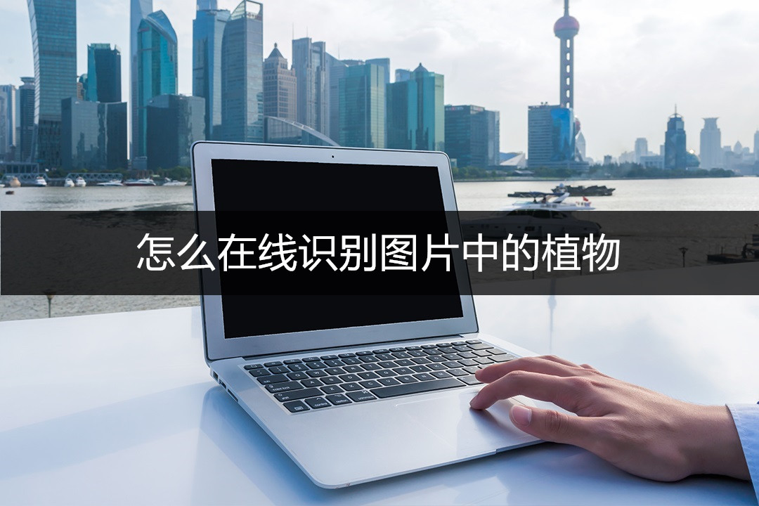 图片识别植物,在线扫描识别植物