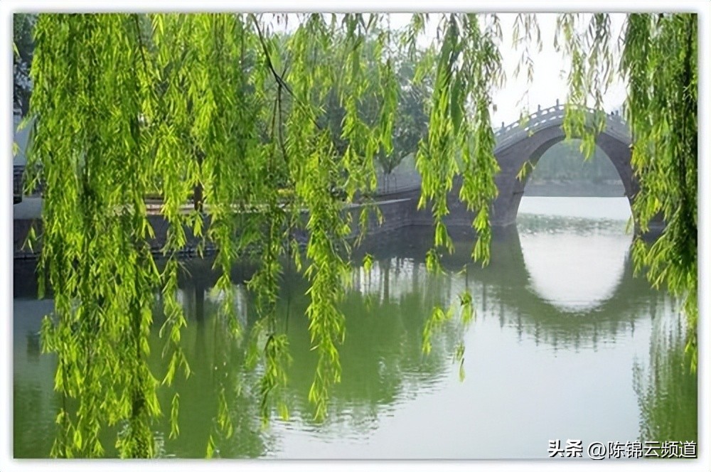 关于重阳节春节清明节的古诗,清明节积累关于传统节日的古诗词