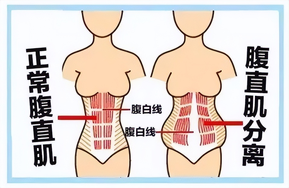 养生不养膘秋季减肥吃什么,秋天长膘如何减肥