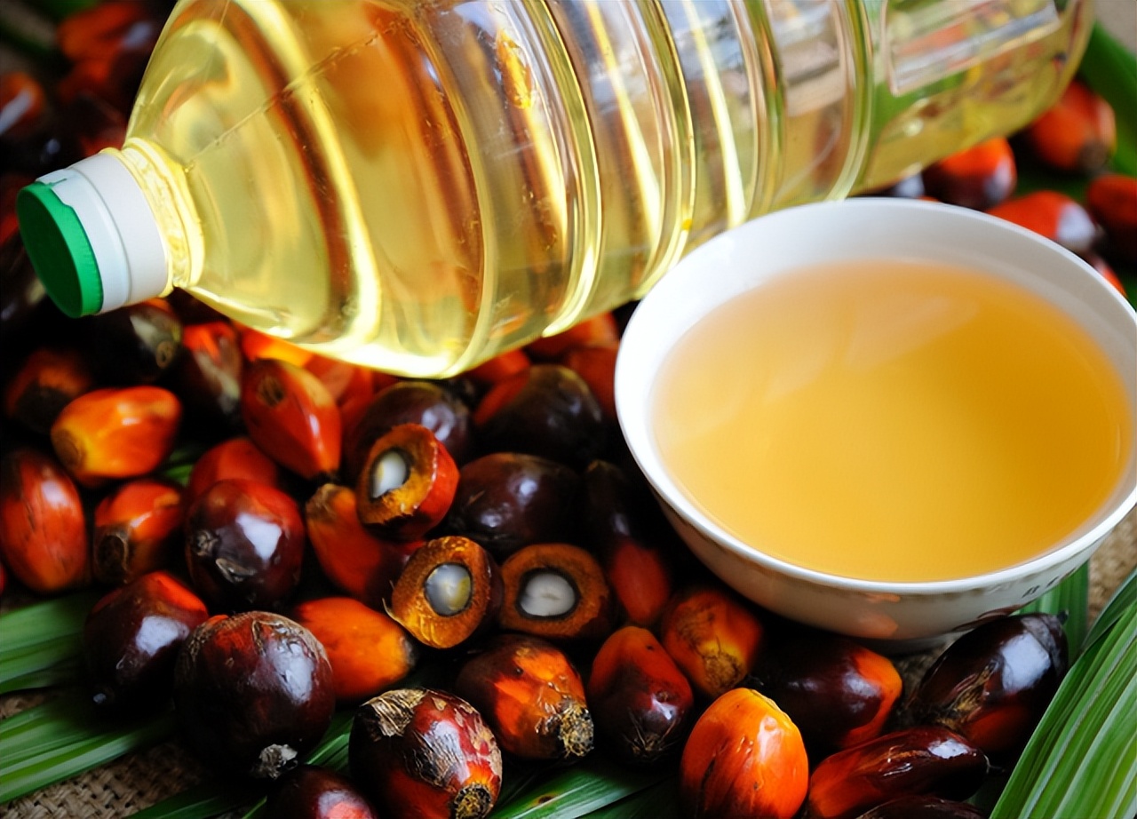 花生油菜籽油豆油吃哪种油好,花生油玉米油菜籽油哪个健康