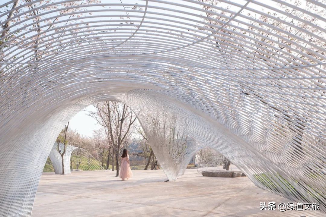 樱花树下的约定字体设计,樱花树下的约定完美国度