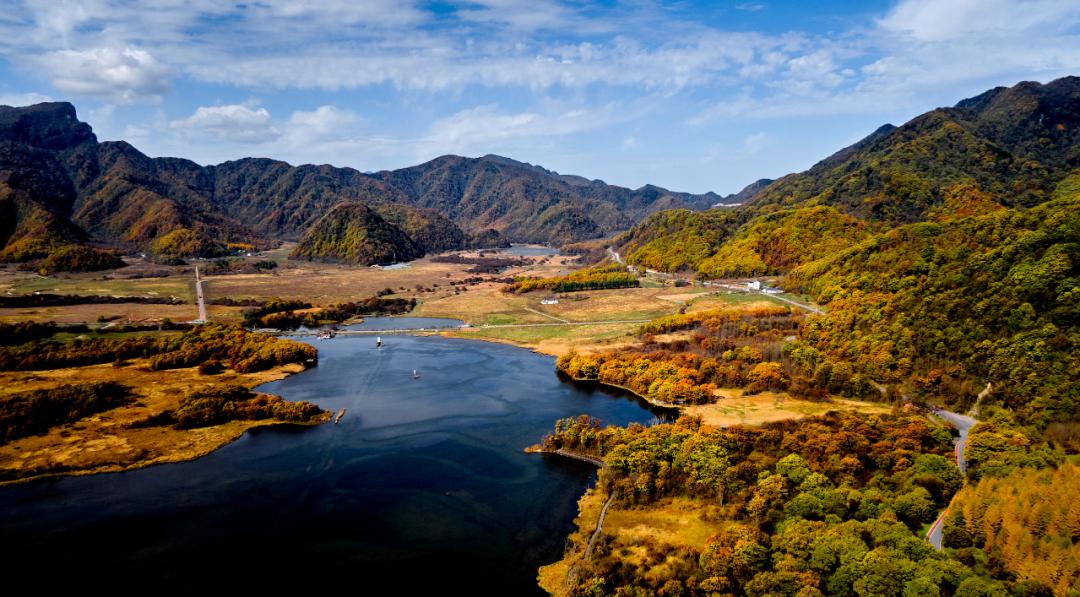 银杏谷泡温泉的地方,广东冬天赏银杏泡温泉
