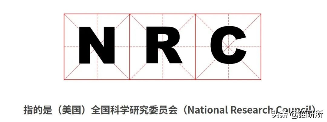 猫粮国标三标,纯福猫粮罐头和鲜朗罐头对比