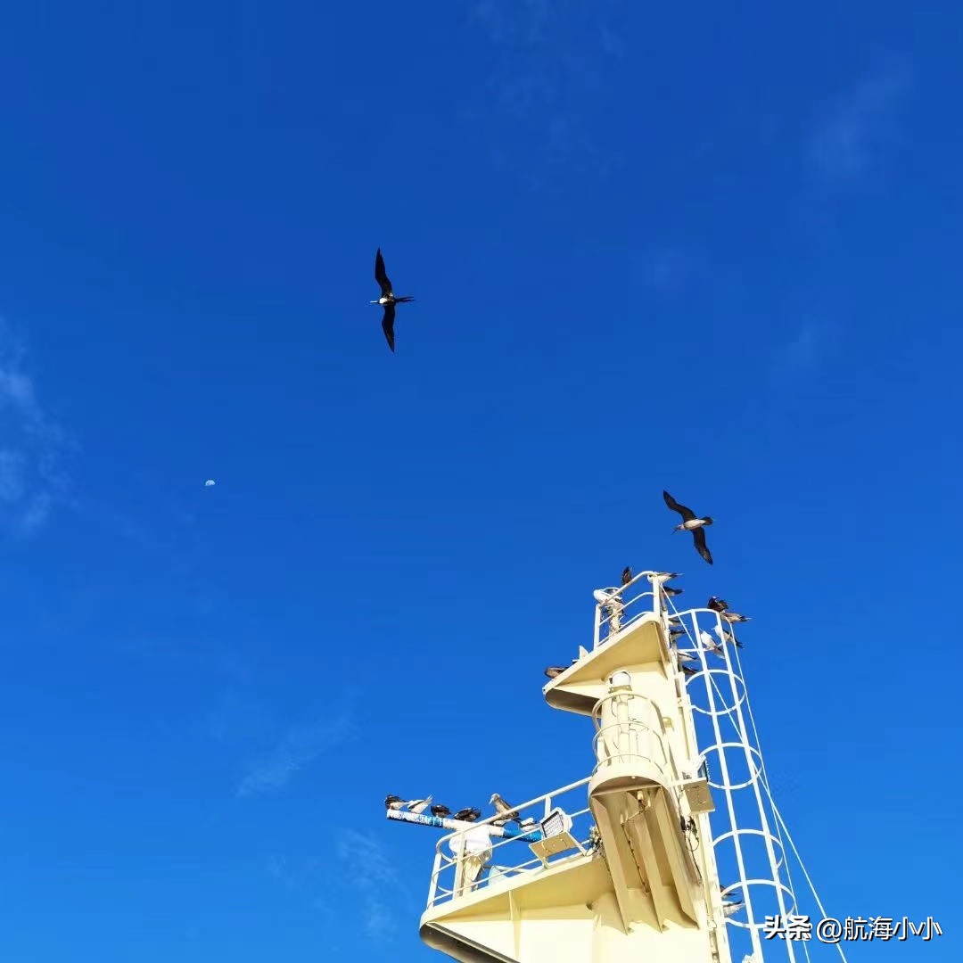 海事局健康证图片,海事局的健康证和卫检的健康证