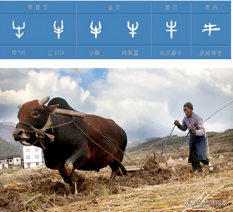 汉字最常用偏旁部首大全及名称表,汉字偏旁部首名称表最全最完整