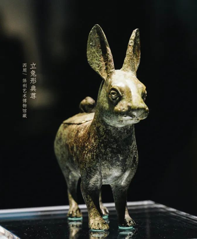 那年那兔那些年的故事,那年那兔那些事儿百年风云