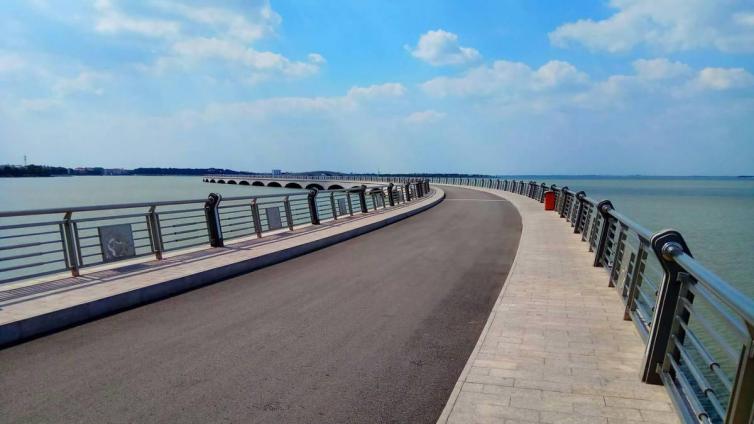 上海市内自驾游一小时哪里好,上海自驾游攻略线路推荐