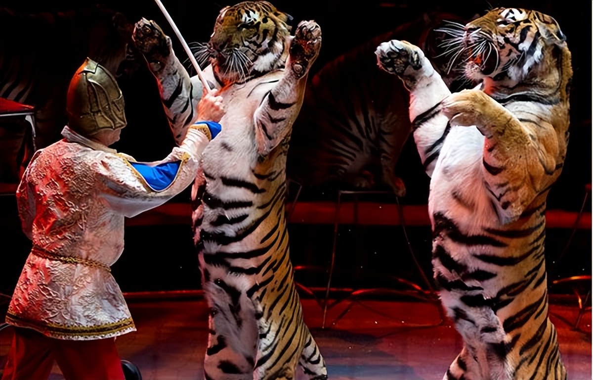 俄罗斯国粹国家大马戏,俄罗斯国粹芭蕾舞