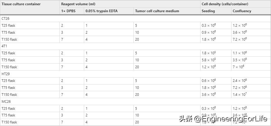 Nature Protocols：3D肿瘤球体内共培养细菌的快速筛选protocol