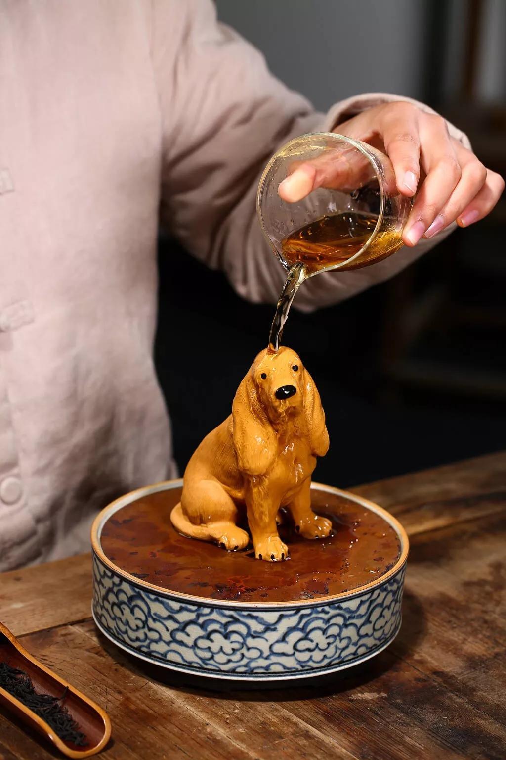 逼真玩具金毛狗,金毛狗吃惊图片