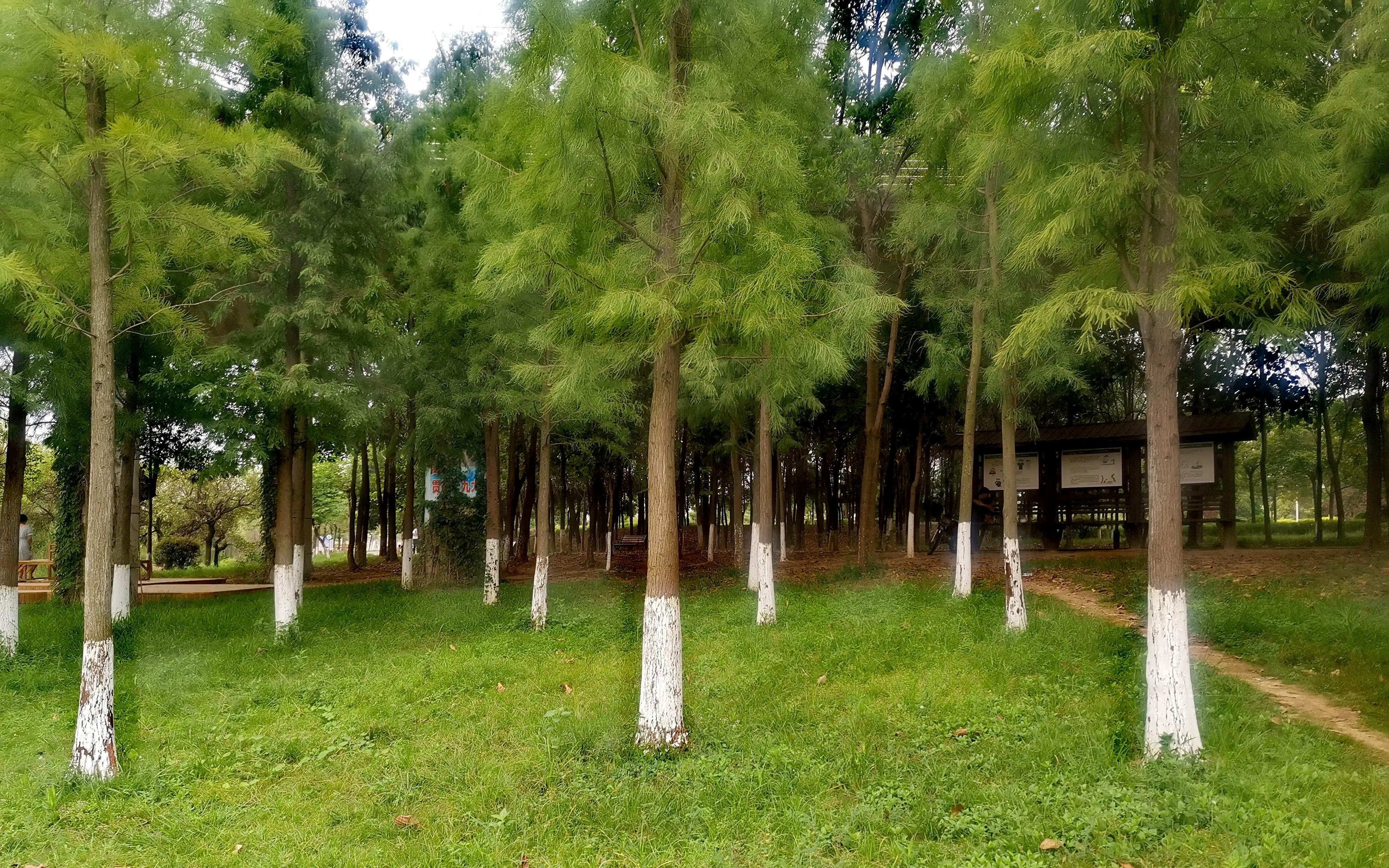 漳州市美丽的小镇,漳州长泰区旅游