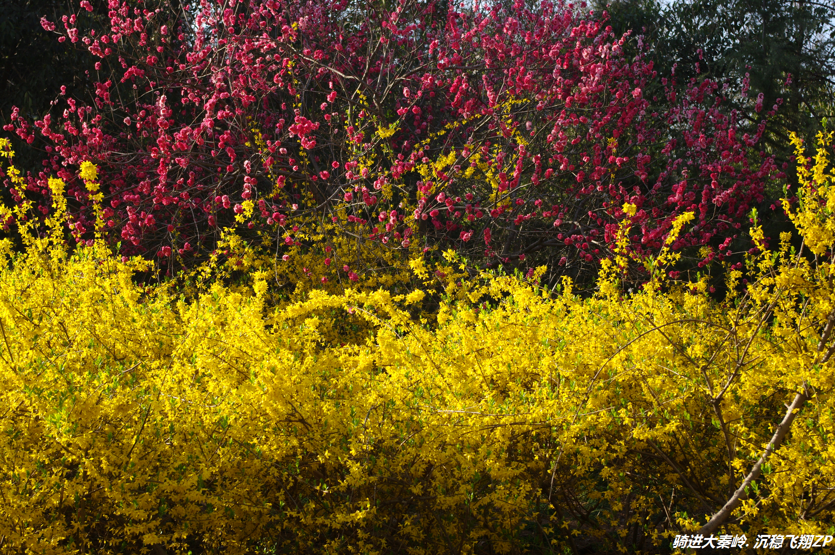 骑摩托洛阳出发秦岭,骑电动车从西安到洛阳