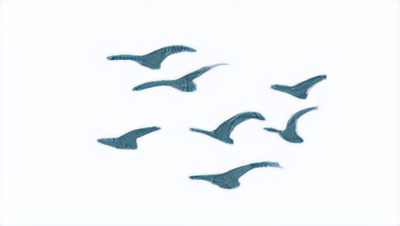 “醑”怎么读？小寒到，快去吧！（CCTV9节目预告）