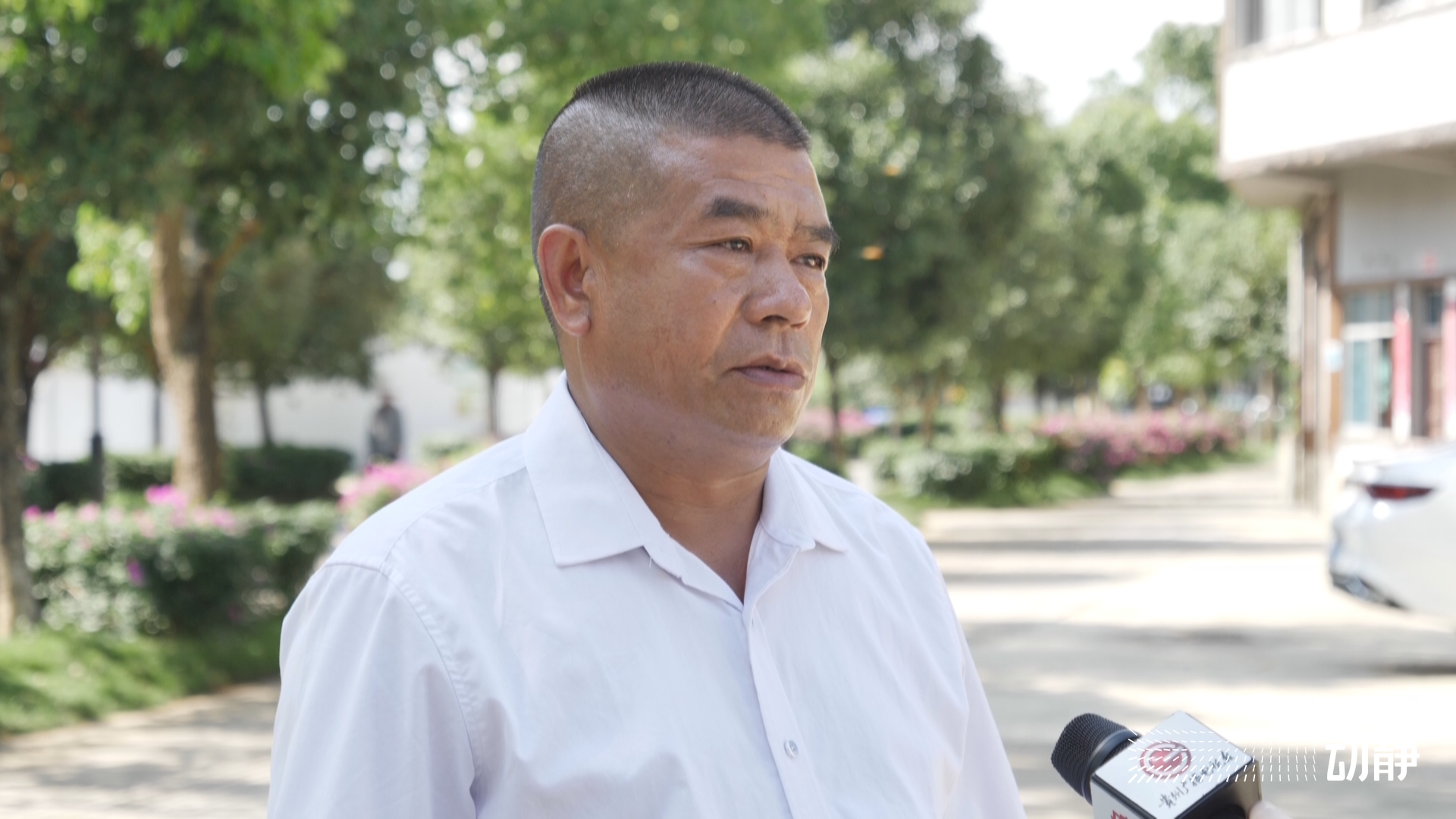 万峰林长视频,万峰林实时画面