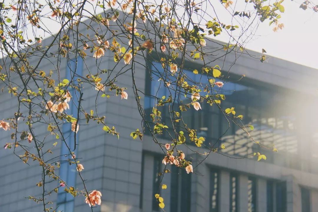 乡情依然很浓,乡情透着浓浓的思念