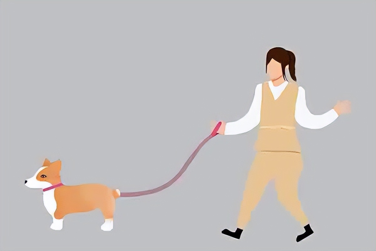 致死率近100%狂犬病为何如此恐怖,科普篇狂犬病到底有多可怕