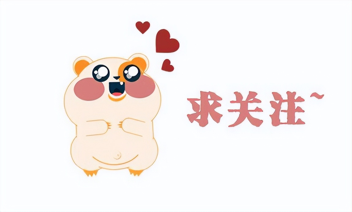 巴哥犬的7大优点,细数巴哥犬的五大缺点