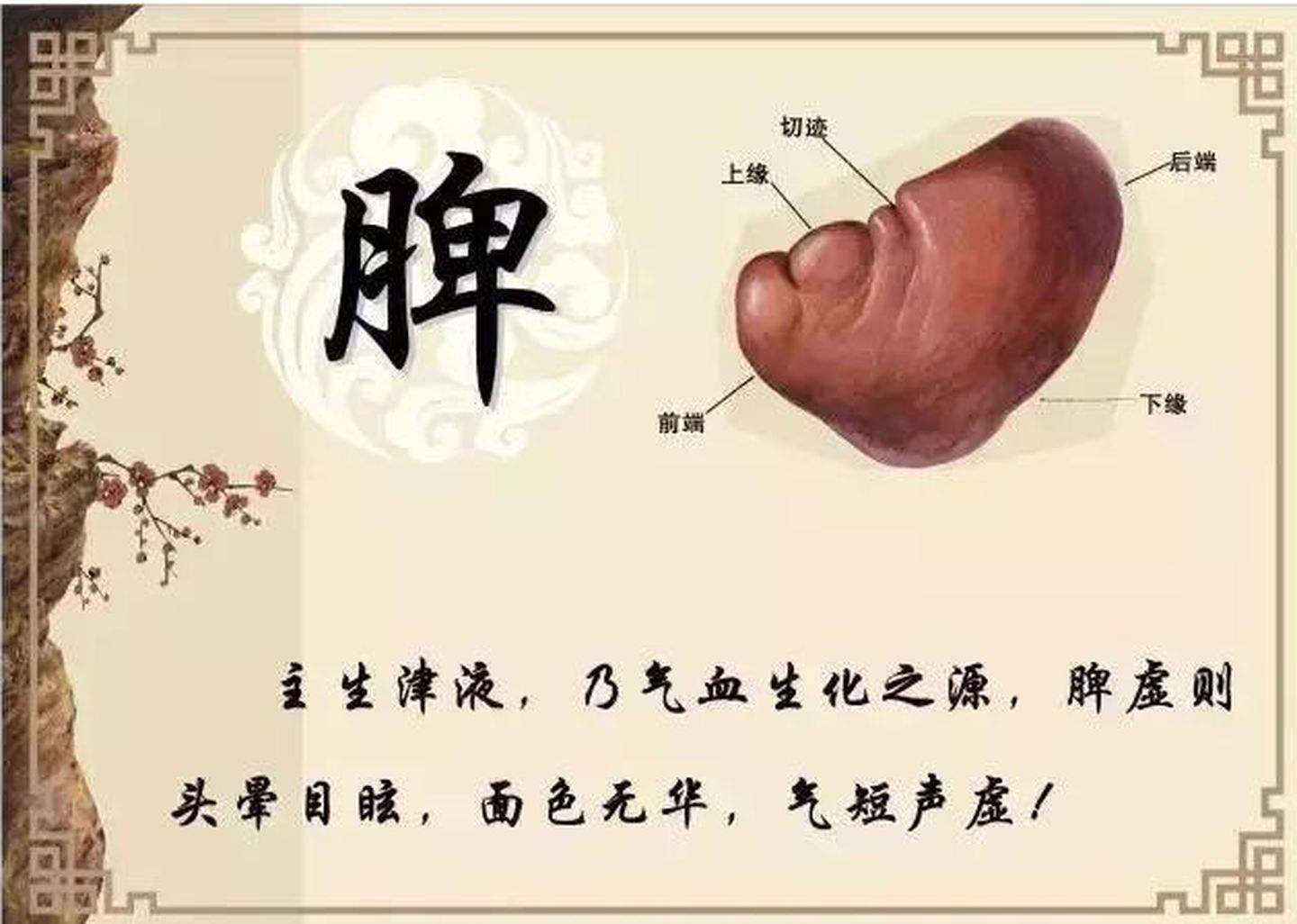 补肾补脾的方子,气血不足可以吃仙方三补丸吗