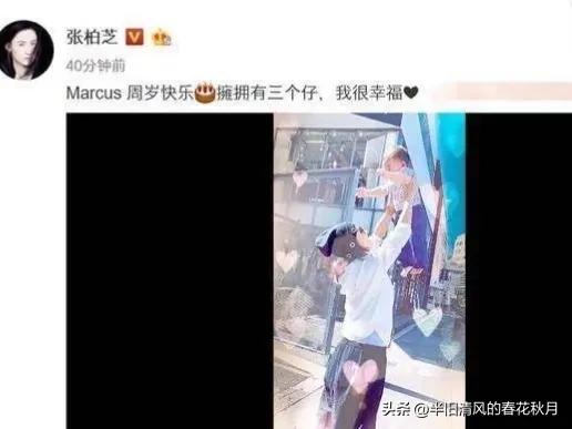 香港张柏芝在大陆生活,上海张柏芝的视频