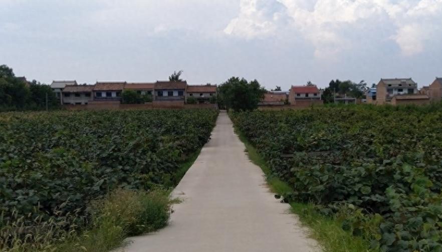 大学毕业月入7500,大学毕业后工资几千被父母看不起