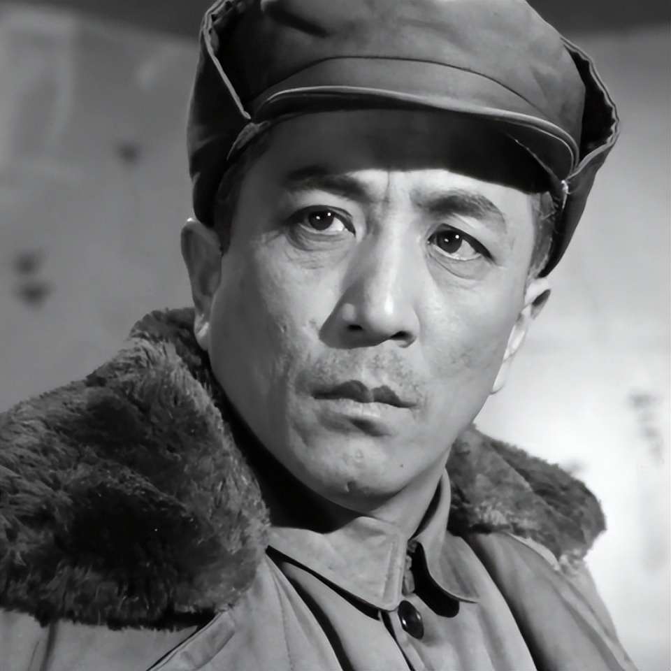 关于革命的小说红日简介,长篇小说红日沈振新的原型是谁