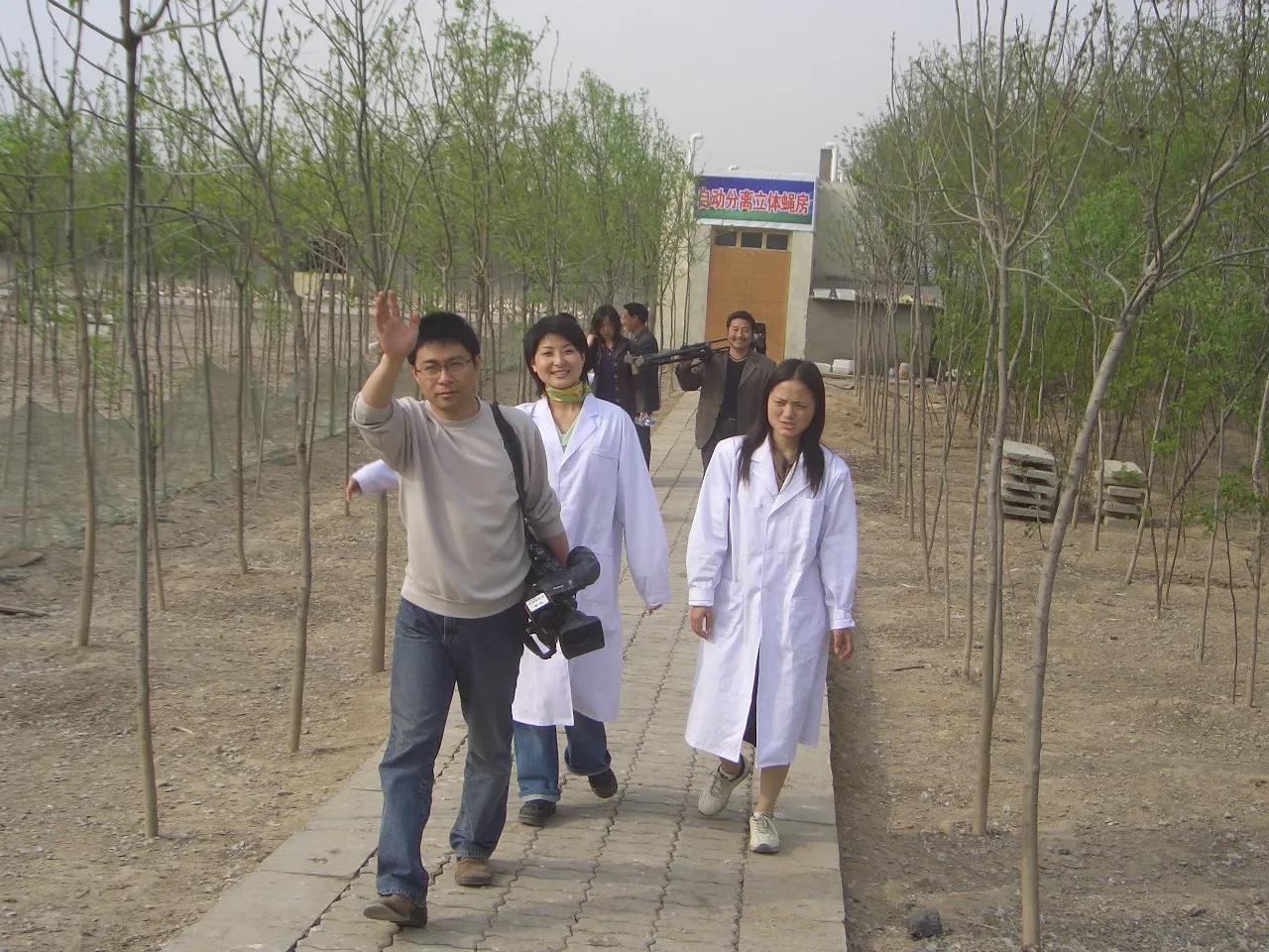 点蝇成金，王泽铺三农合伙人模式让农家女靳任任“蝇”利千万