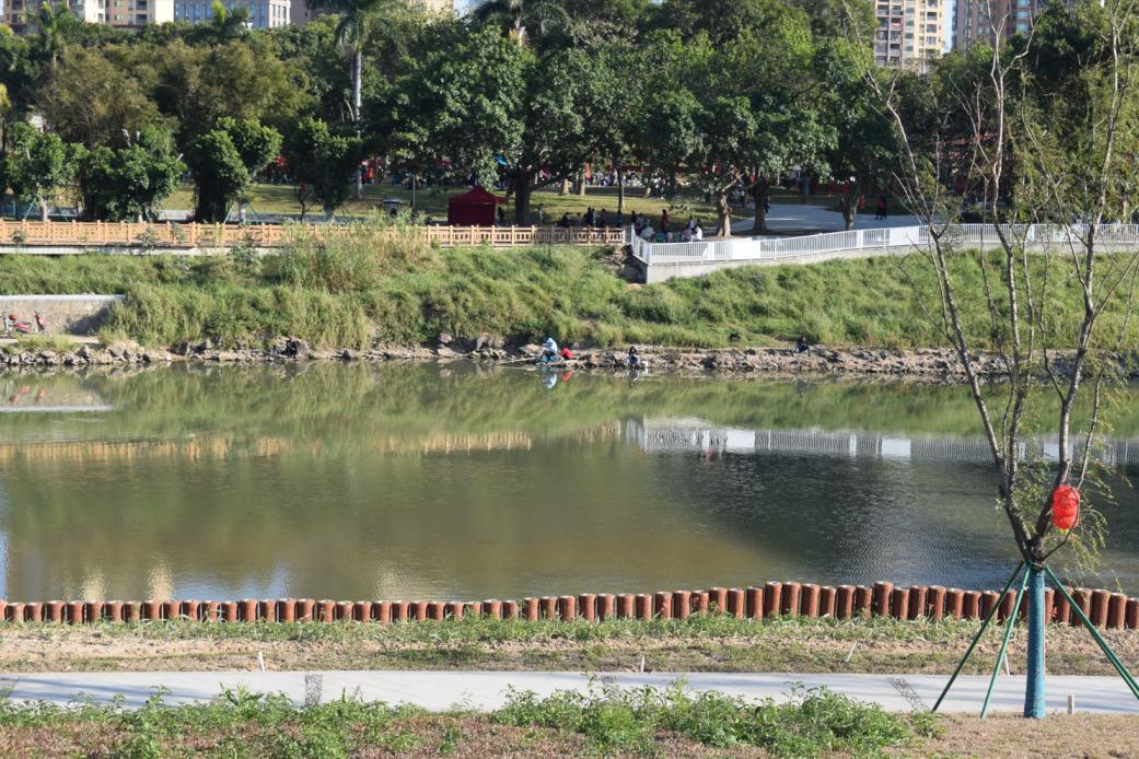 与春天撞个满怀美文,与春天撞个满怀