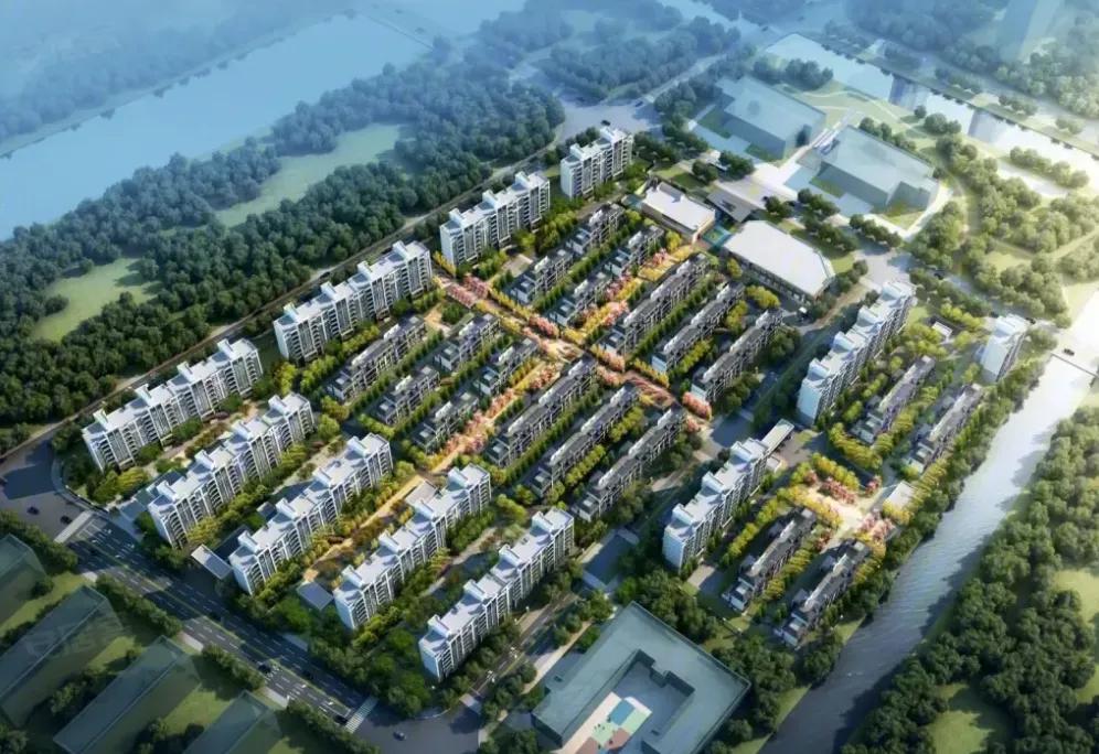 1000万买啥样的新房,2021买房投资预算200万买哪里