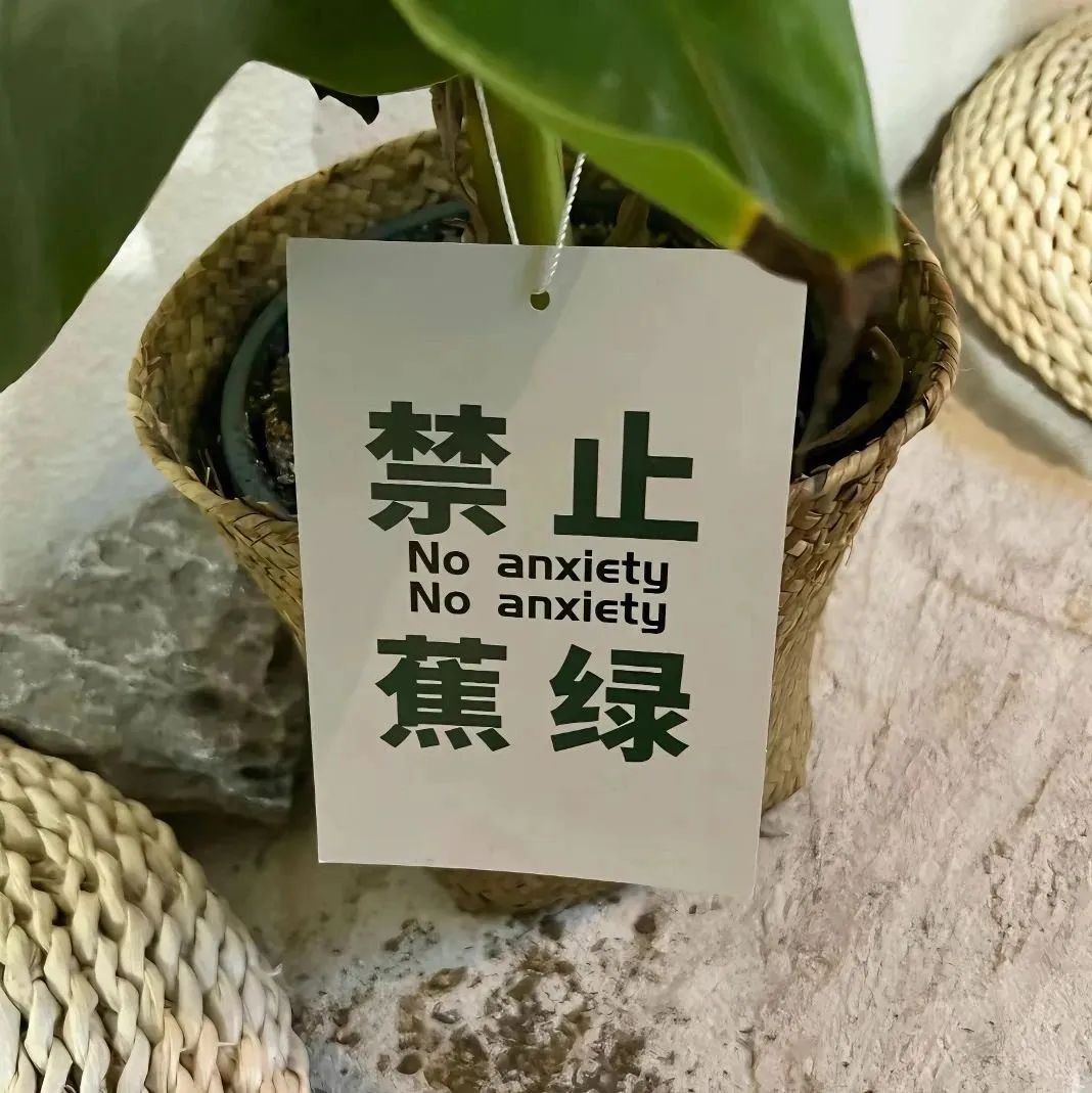 想存钱，过了三年的低消费生活