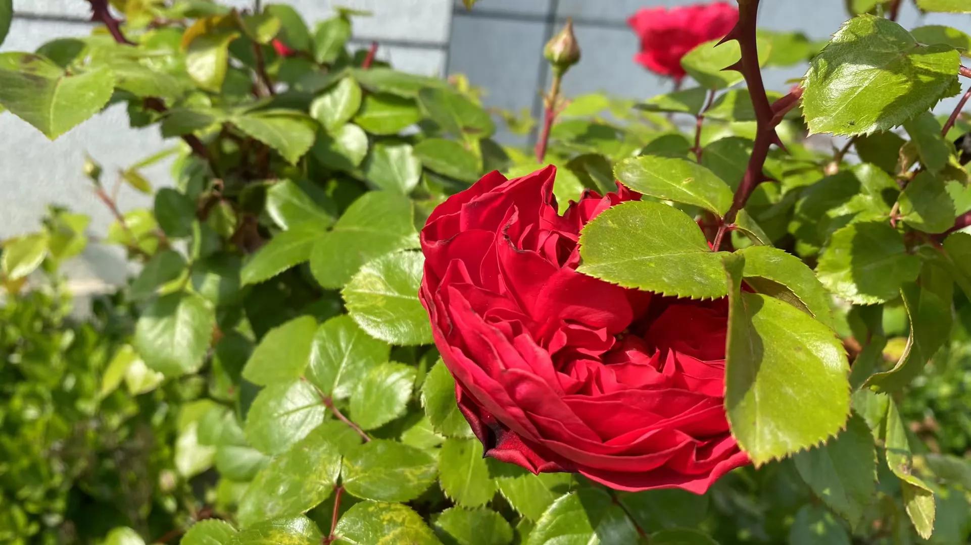 小学培优新方法适合什么人做,小学生培优新方法难度如何