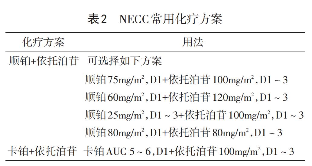 宫颈癌派特生物,派特生物治疗图片