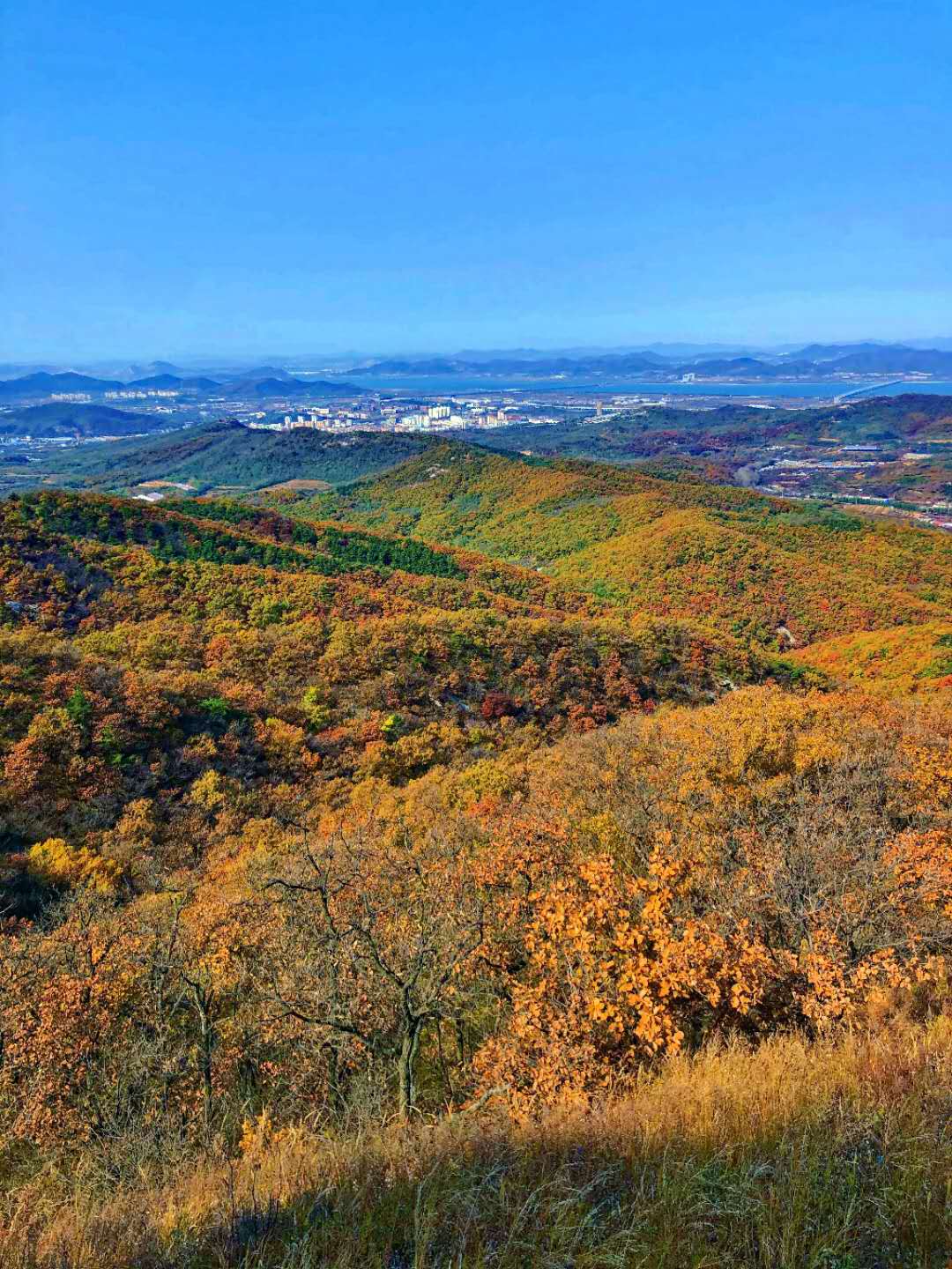 十一不离连,来“东沟”玩个够