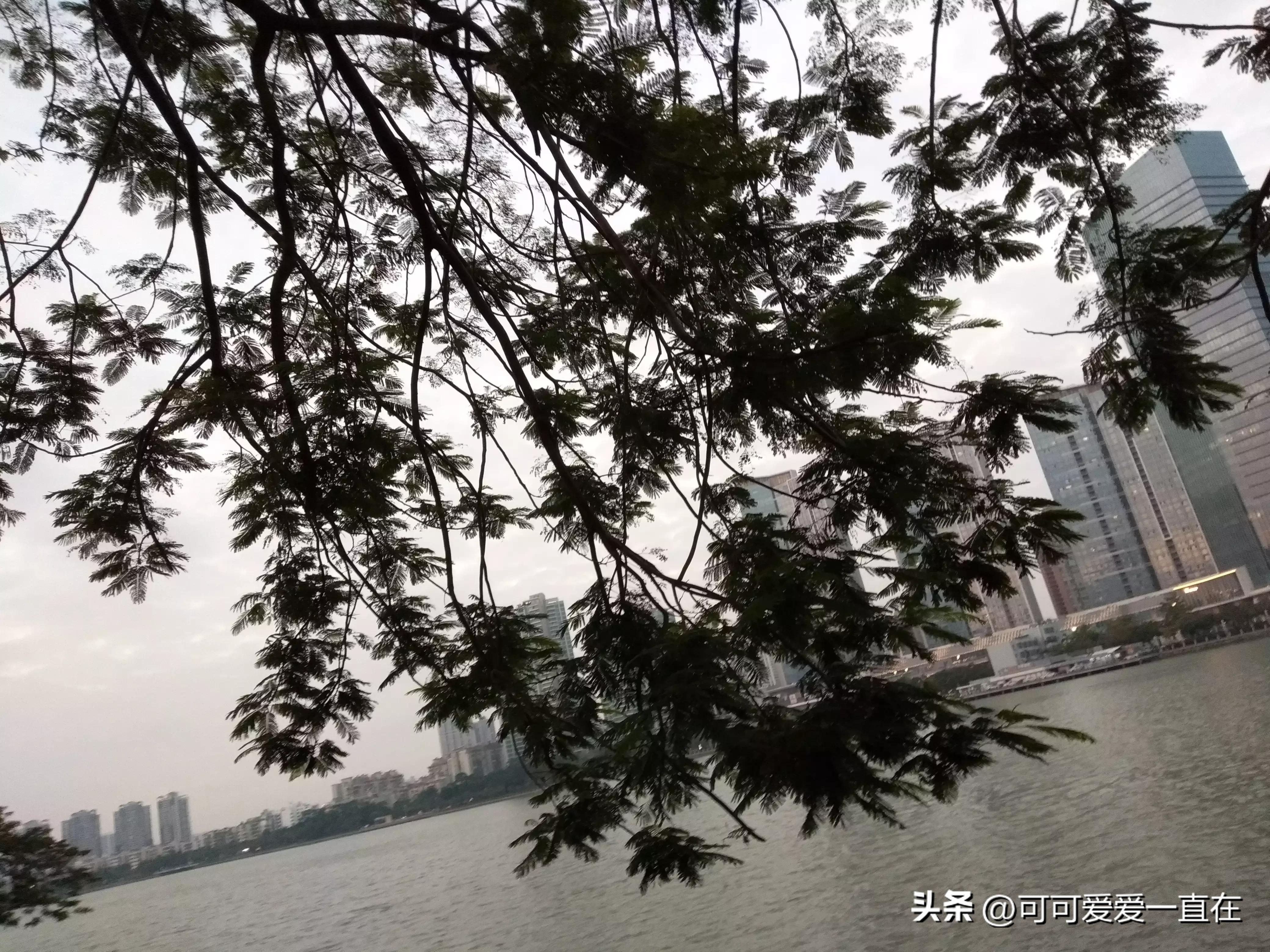 核酸收费,核酸收费多少钱一次